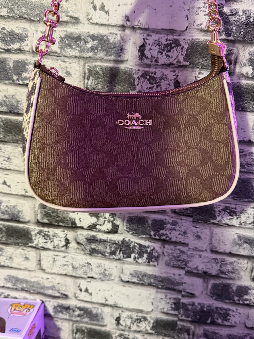 Coach Brown Signature Mini Shoulder Bag with Snakeskin Trim